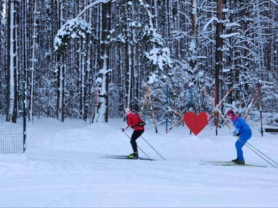 Лучше гор может быть только новая лесная трасса в Дмитрове: работает с 9:00 до 21:00