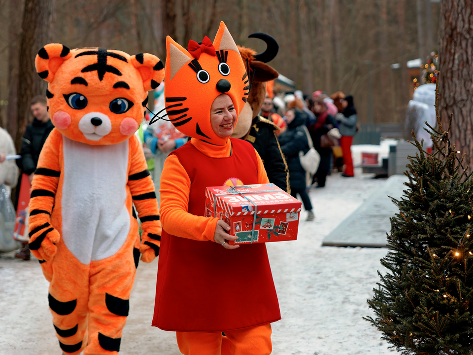 Зимние забавы, мастер-класс: что еще ждет участников «Январских гуляний» в Луховицах