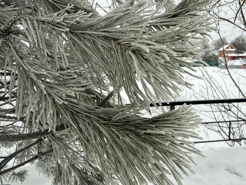 Татьянин день в ледяном аду: синоптики предупредили о смертельной стуже 25 января