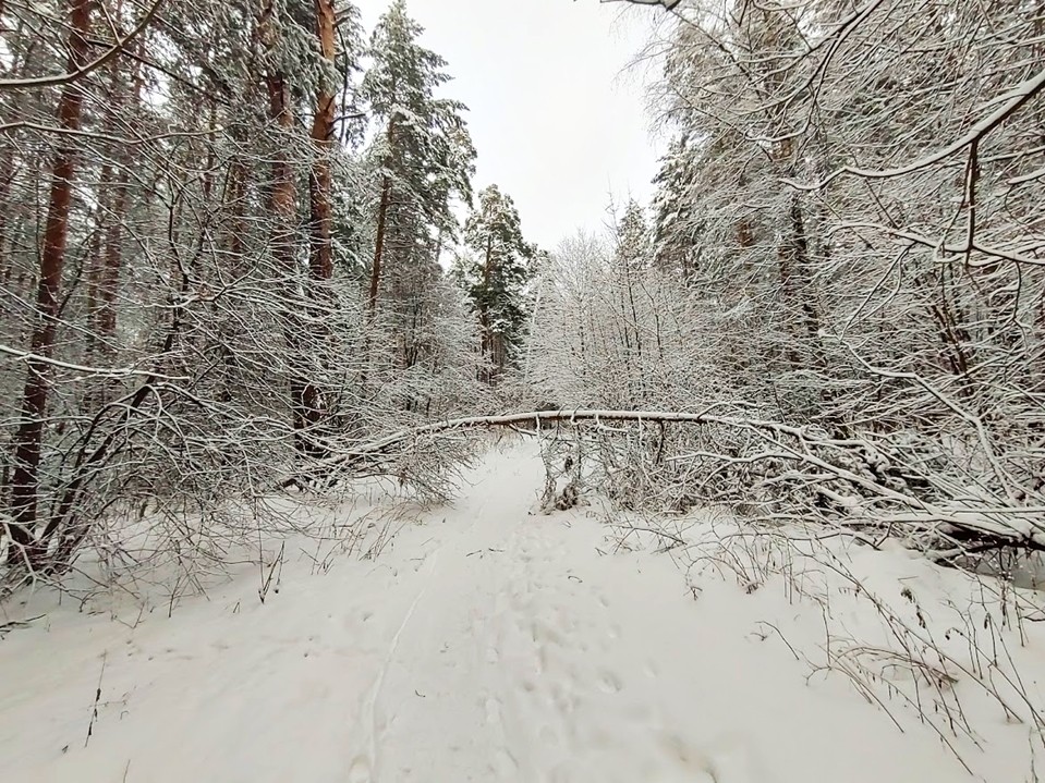 Серпухов погрузился в аномальный холод: температура опустилась до −18,4 °C