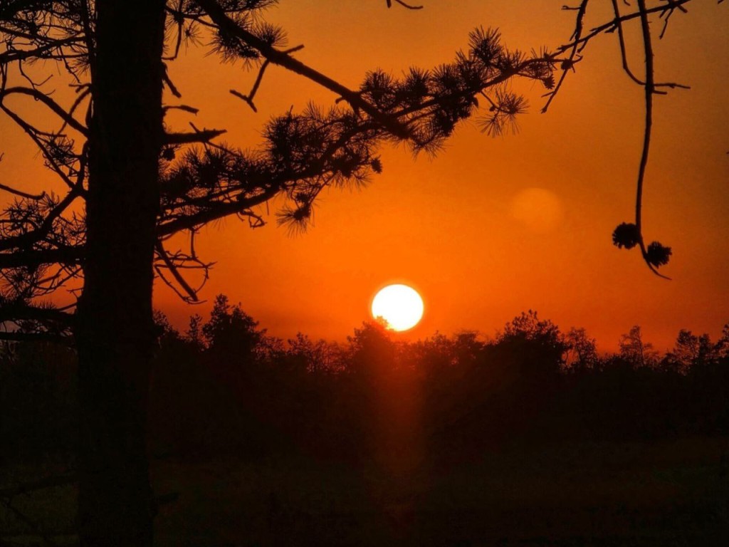 Почему предки боялись 22 января: запреты Филиппова дня и как не «пришить» к себе 33 несчастья