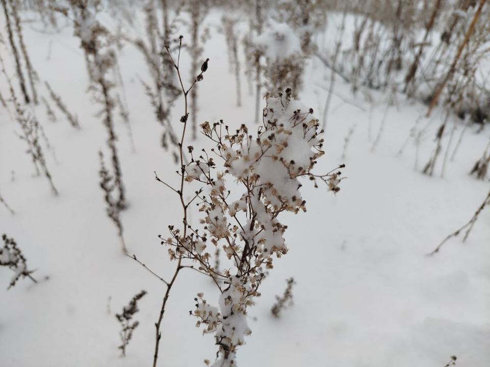 Тепло уже близко! Циклон с Балтики повысит температуру в Подмосковье до рекордных значений