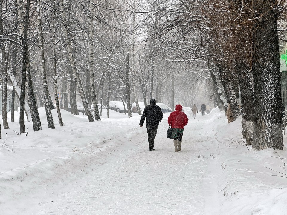 Снежный коллапс в Подмосковье: прогноз погоды на 8 января 2026 года