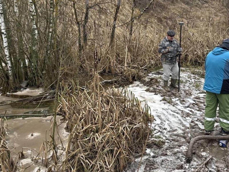 От торговли одеждой до нарушения эконорм: одна компания в Химках устроила земляной оползень