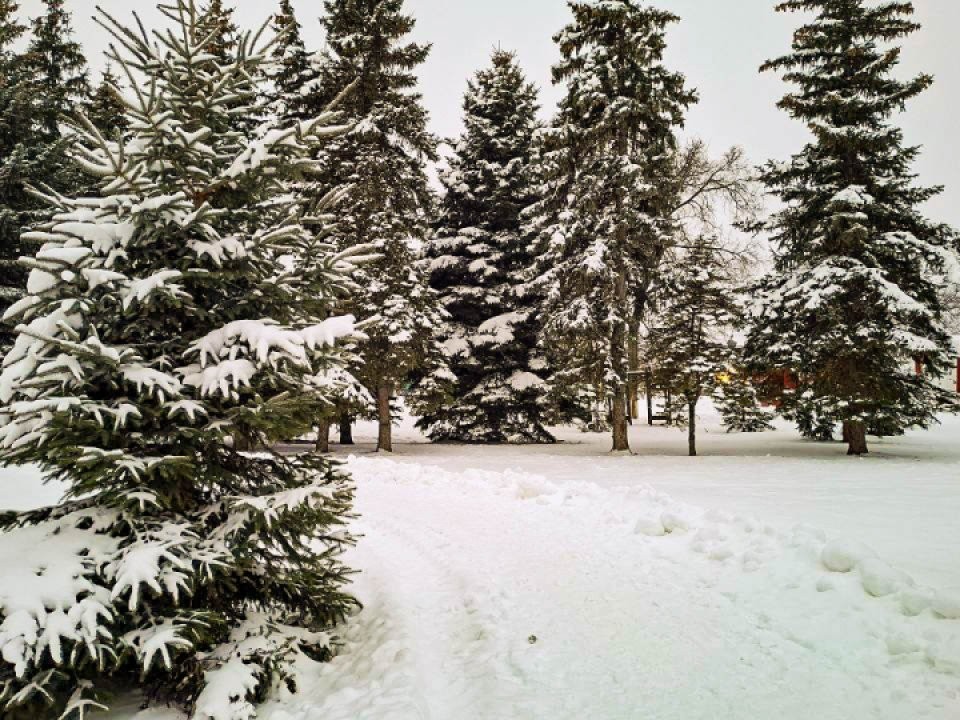 Ледяная подпись января: каким будет самый холодный день зимы в столичном регионе