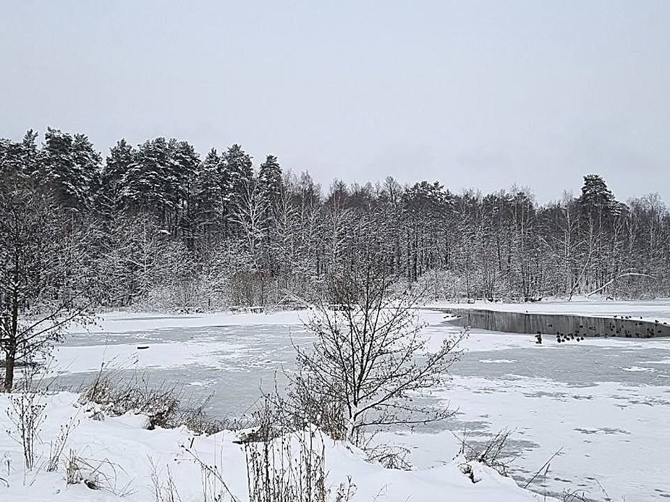 Тонкий лед у Ступина: спасатели предупреждают об опасности на водоемах