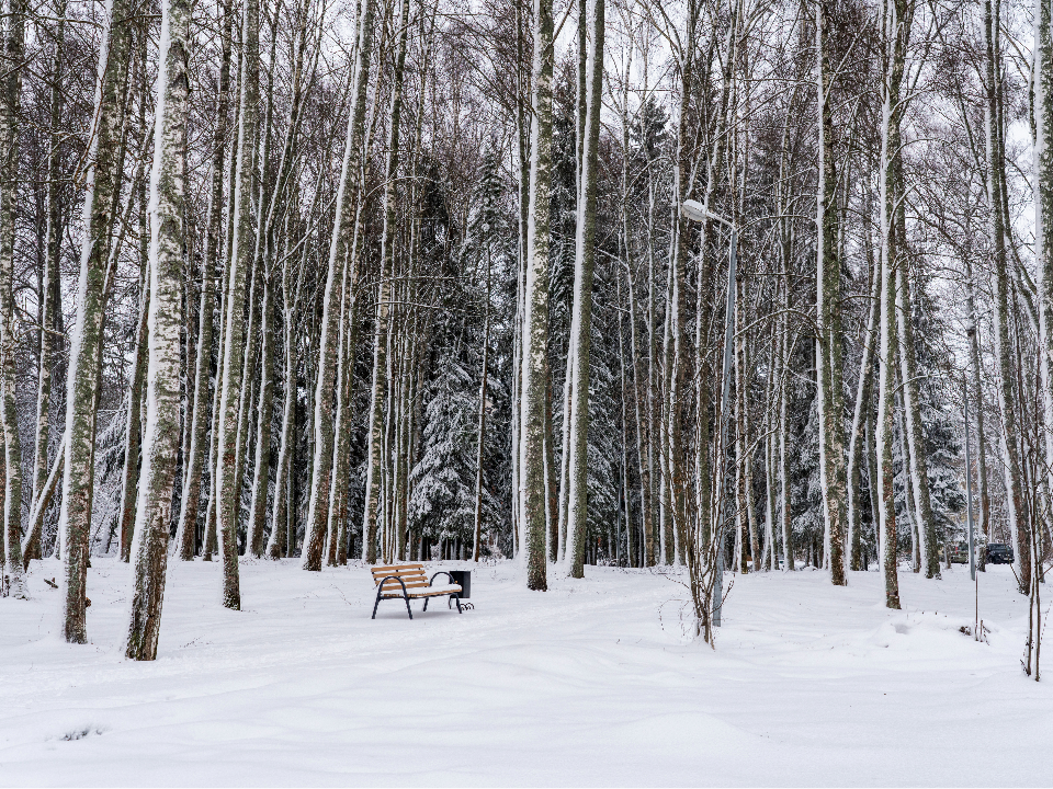 Морозы на выходных: синоптик объяснил, почему в Подмосковье снова будет аномально холодно