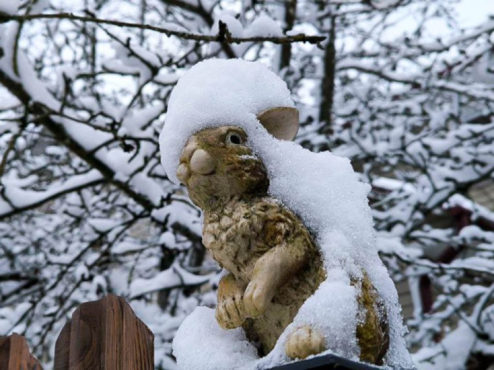 Ждать ли морозов в Подмосковье на Рождество — 2026? Точный прогноз Гидрометцентра