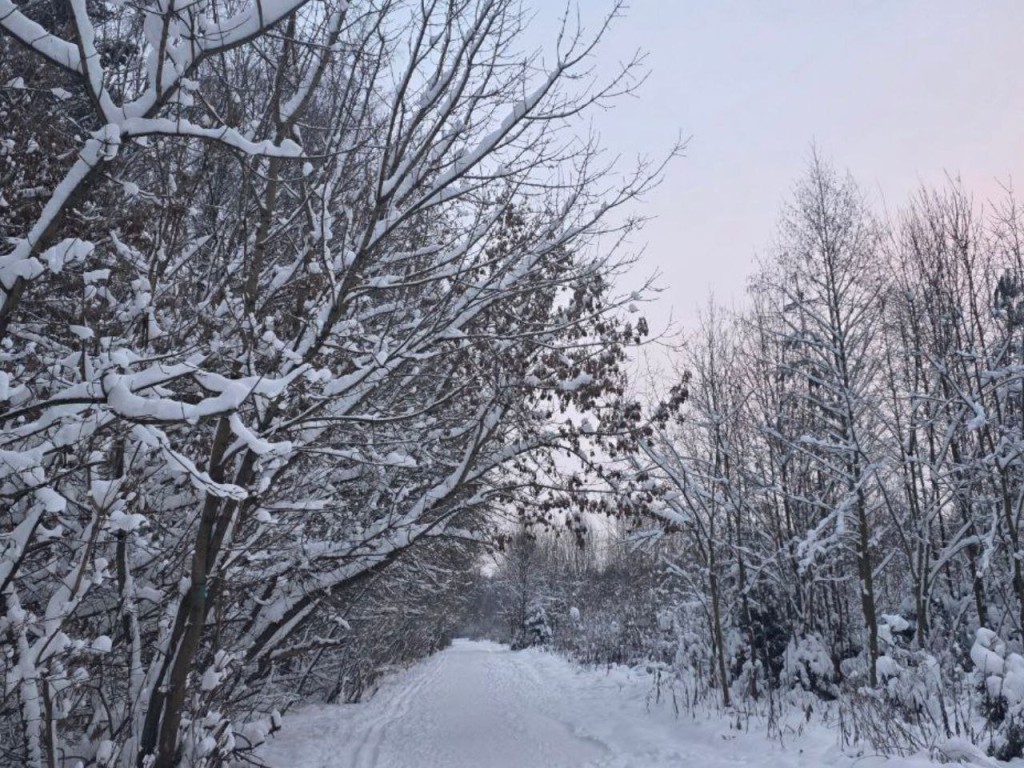 На смену снегопадам идут крещенские морозы до -30! На Подмосковье движется леденящий холод