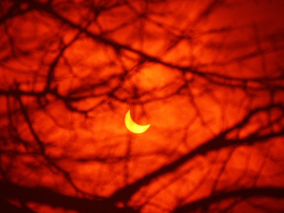 Три планеты у самого Солнца: редкое небесное явление можно будет увидеть над Подмосковьем 22 января