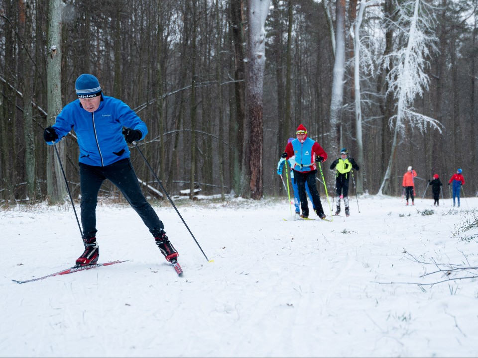 В Талицком лесу проведут масштабную гонку «Народная лыжня»
