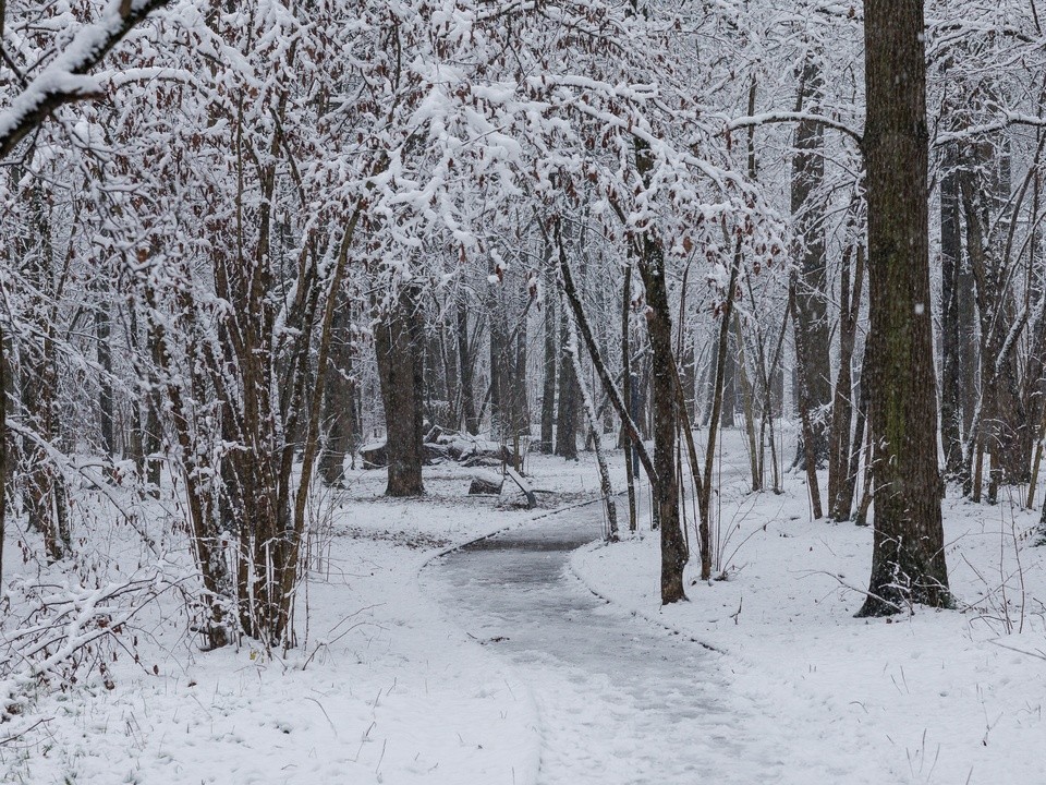 В Клину на следующей неделе ожидаются морозы до -24 градусов