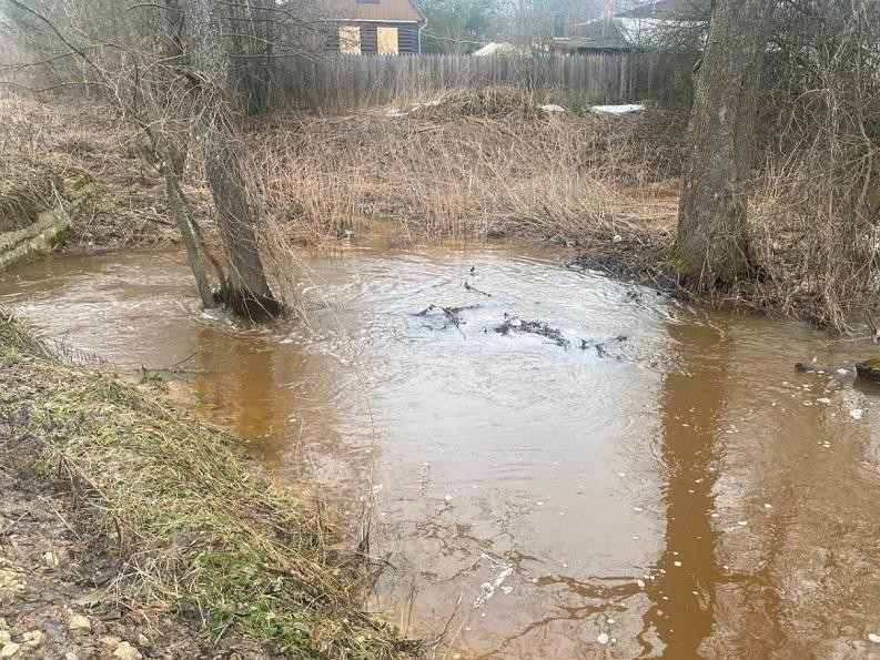 В Подмосковье предотвратили загрязнение рек и озер: какие операции провели экологи и чем им помогли жители региона