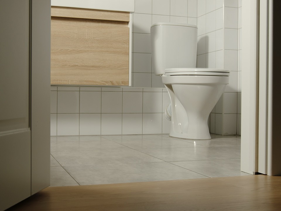 Странное «существо» в туалете устроило жуткую ночь паре из Дубны