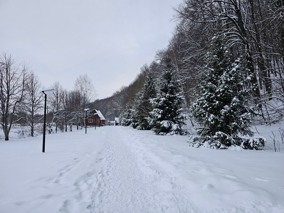 Какая погода ждет жителей Подмосковья в Рождество