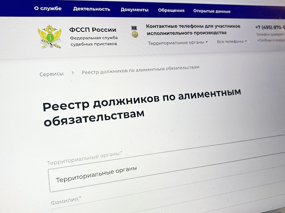Реестр должников по алиментам в 2026 году: проверка на сайте ФССП и Госуслугах, последствия и исключение