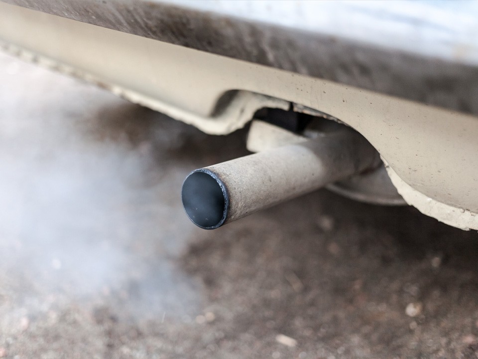 Смертельный укус для ГИБДД? В Балашихе засняли авто с коброй на выхлопной трубе