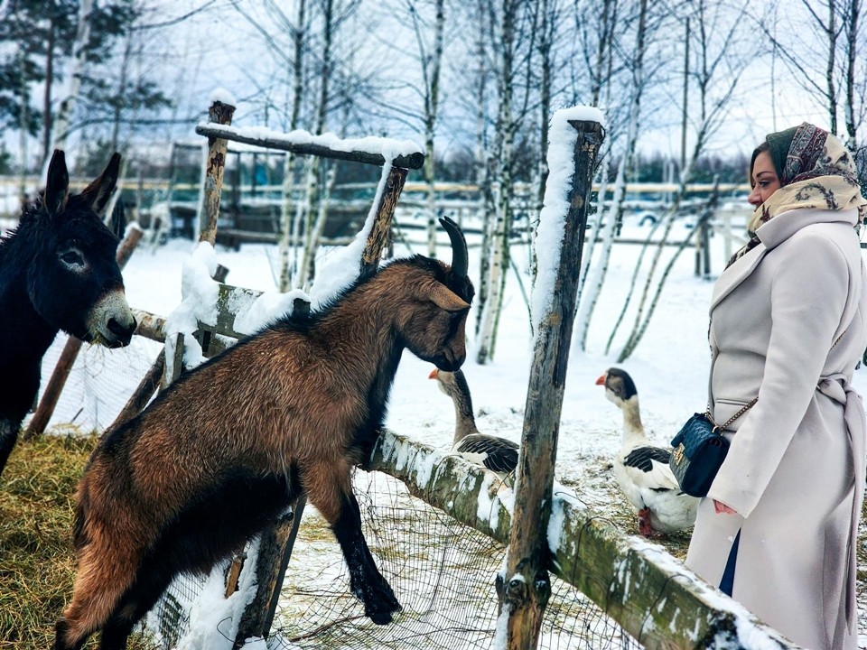 Новый год — время помогать: центр реабилитации животных открыл двери под Серпуховом
