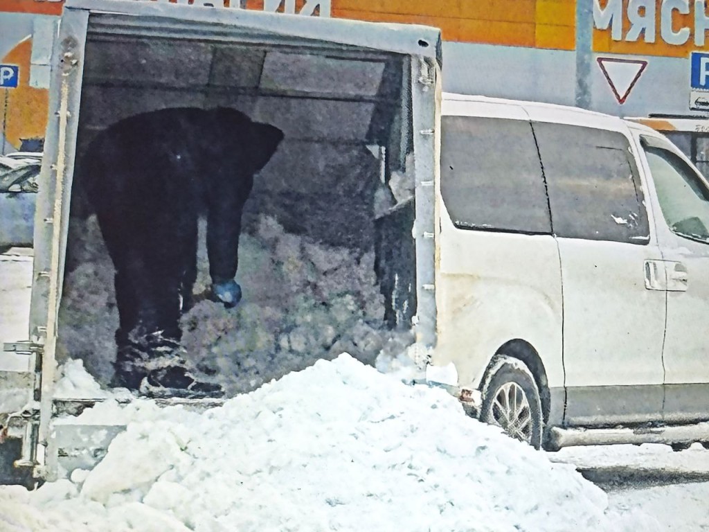 Житель Одинцова «припарковал» гору снега у супермаркета в Юдино