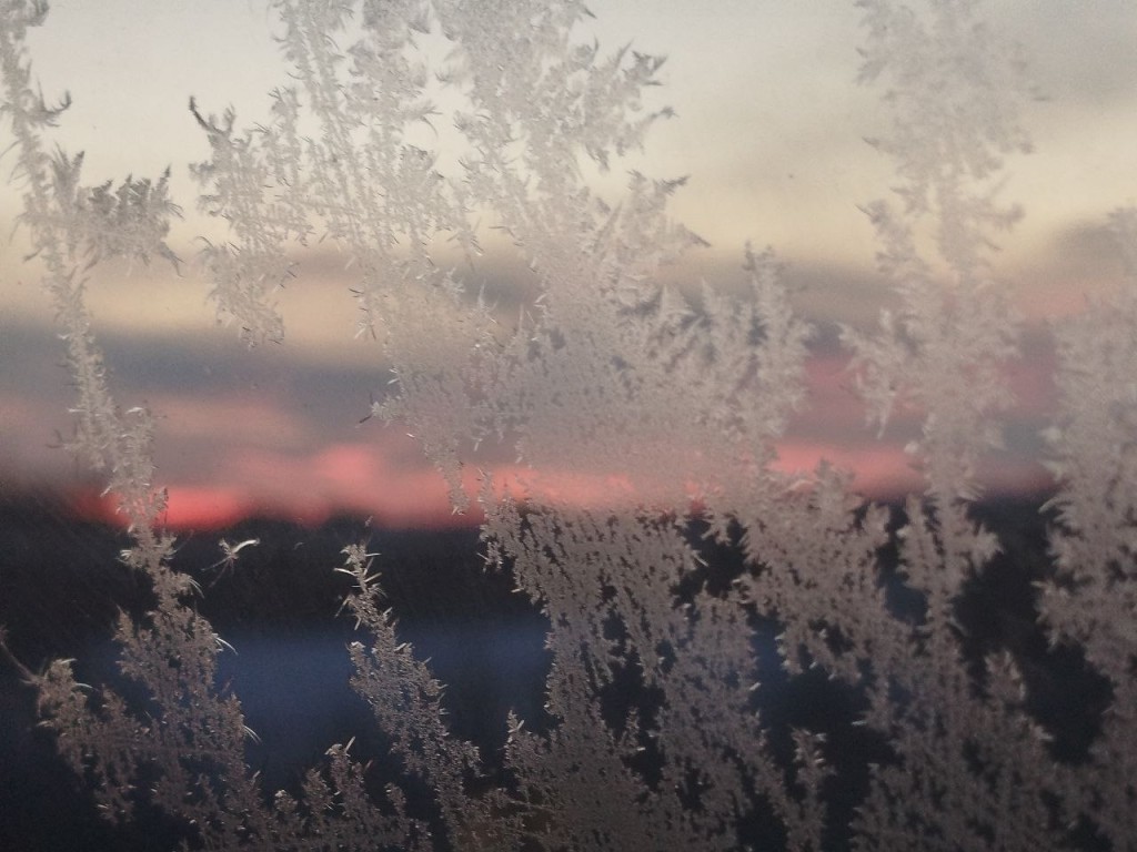 Аномалия 2026: в Подмосковье ударили рекордные 30-градусные морозы