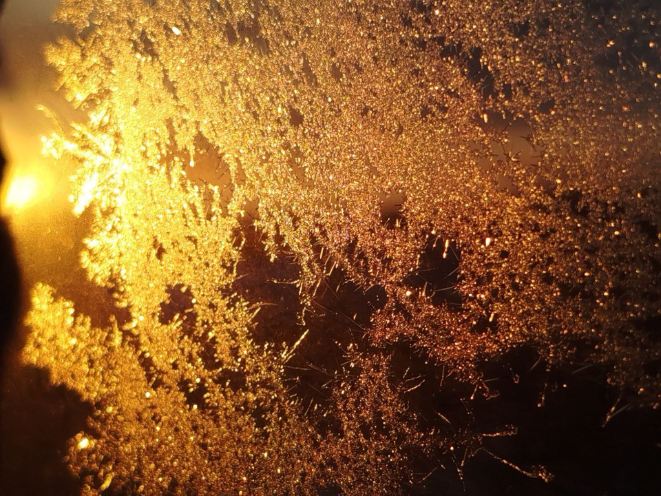 Ждать ли экстремальных морозов до -30° в Подмосковье? Синоптики дали точный прогноз