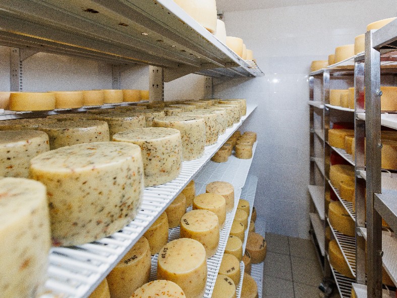 Все сорта за день не перепробовать: почему Подмосковье называют сырной столицей России