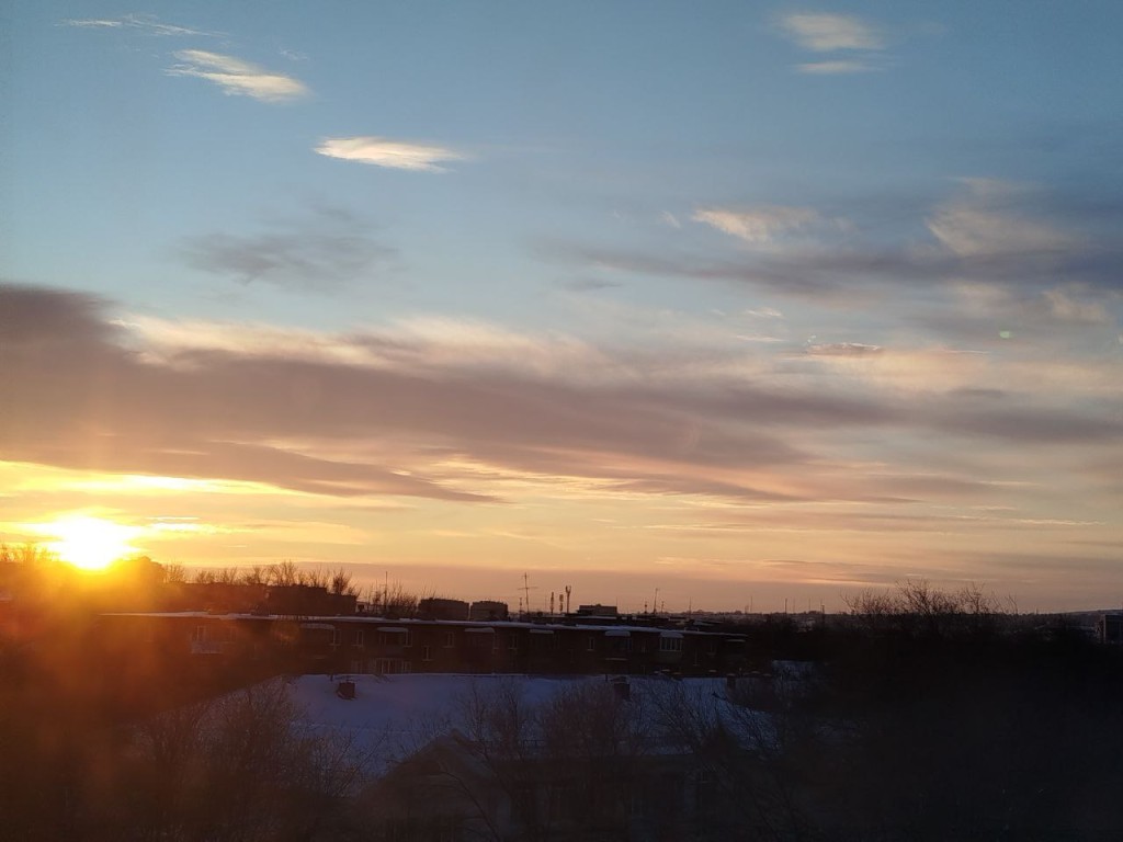 Природа в Подмосковье сходит с ума: после морозов и снега регион ждет новый рекорд