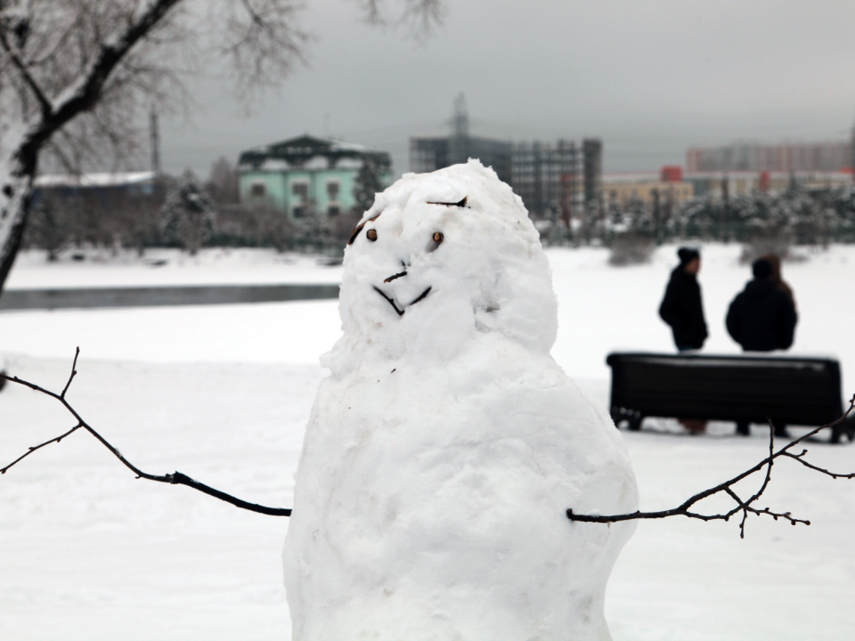 Новый снегопад накроет Подмосковье в этот день