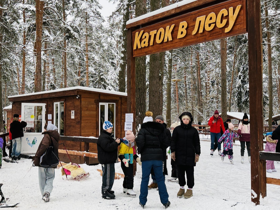 У озера вблизи Жуковского заработал атмосферный лесной каток