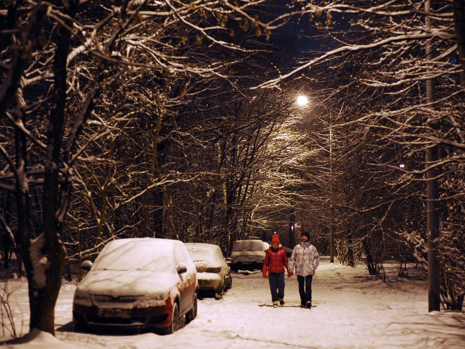 Никто не пострадал: жителям Подмосковья рассказали о последствиях снегопада