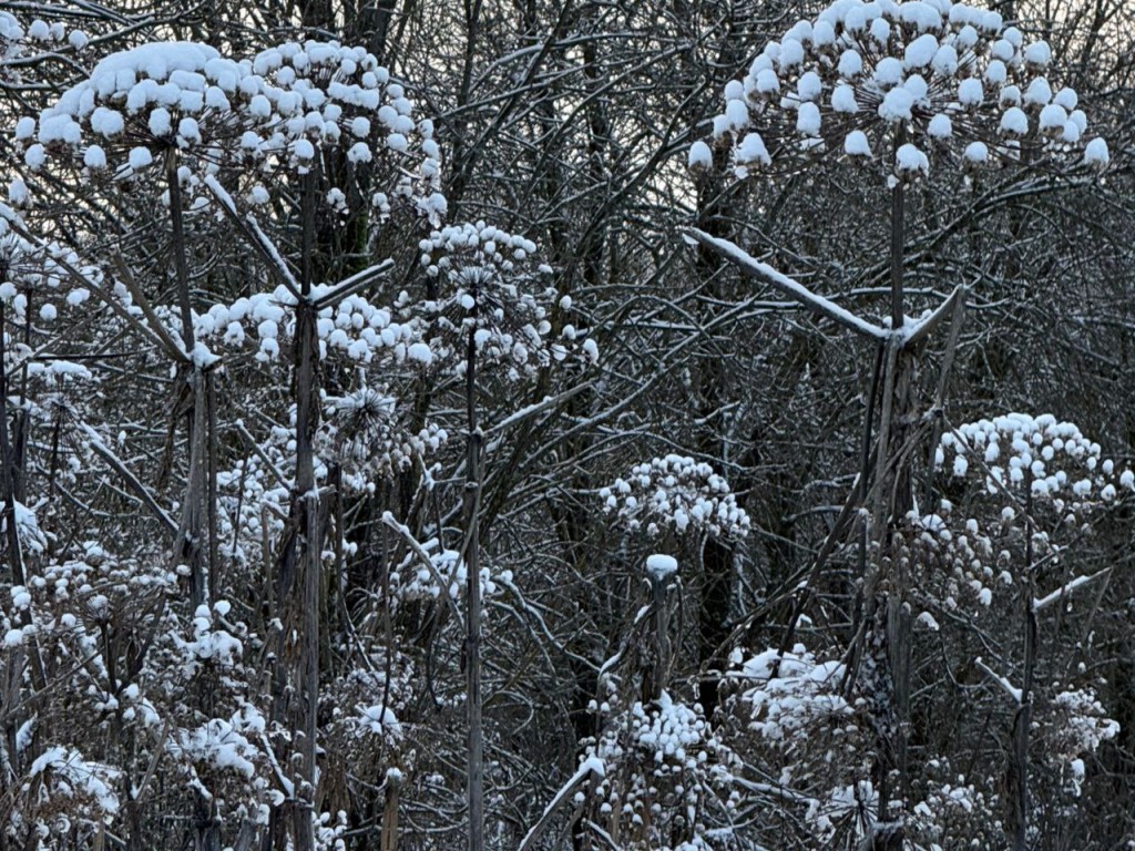 Гороскоп на 20 января 2026: Козерогам и Стрельцам советуют держать язык за зубами, а Овнам и Весам грозят финансовые потери