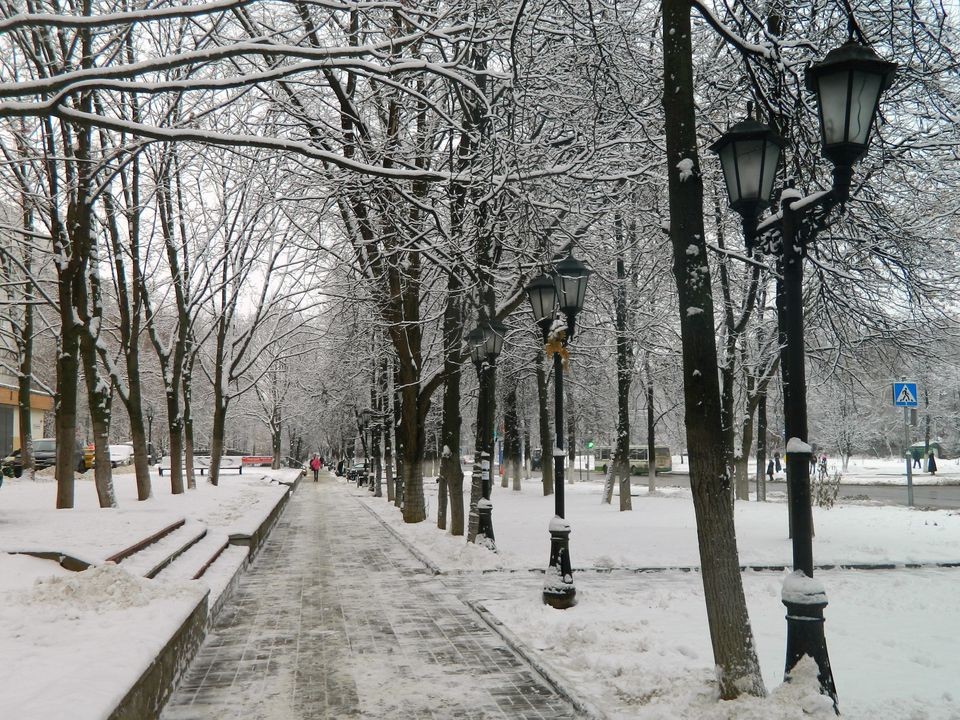 Облачная погода при морозе до -5 ожидается во вторник