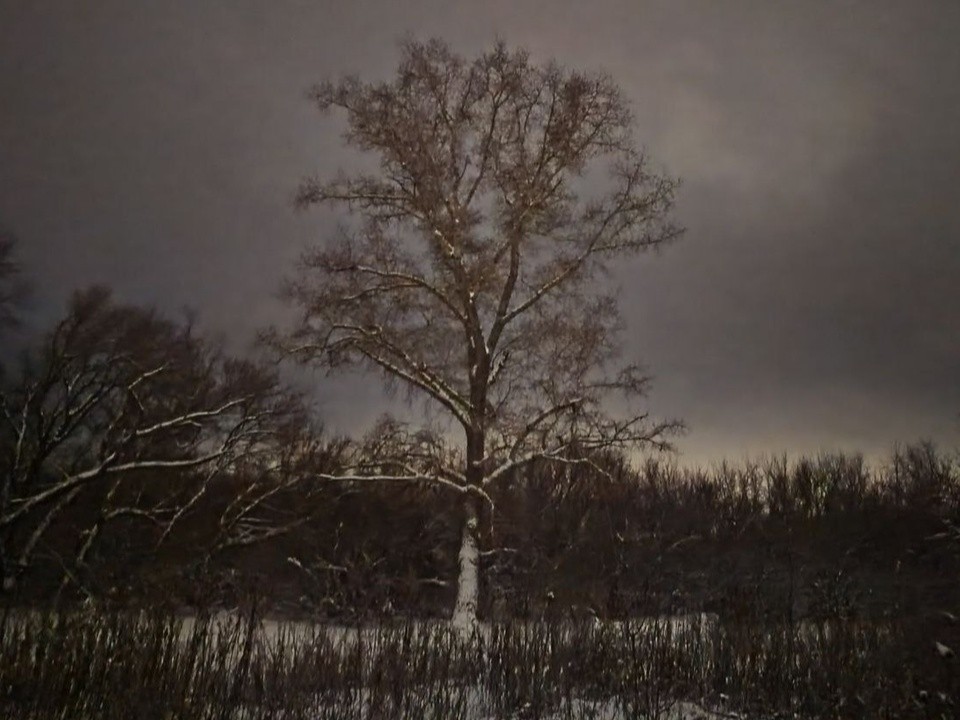 Ночь на Старый Новый год в Подмосковье будет морознее новогодней