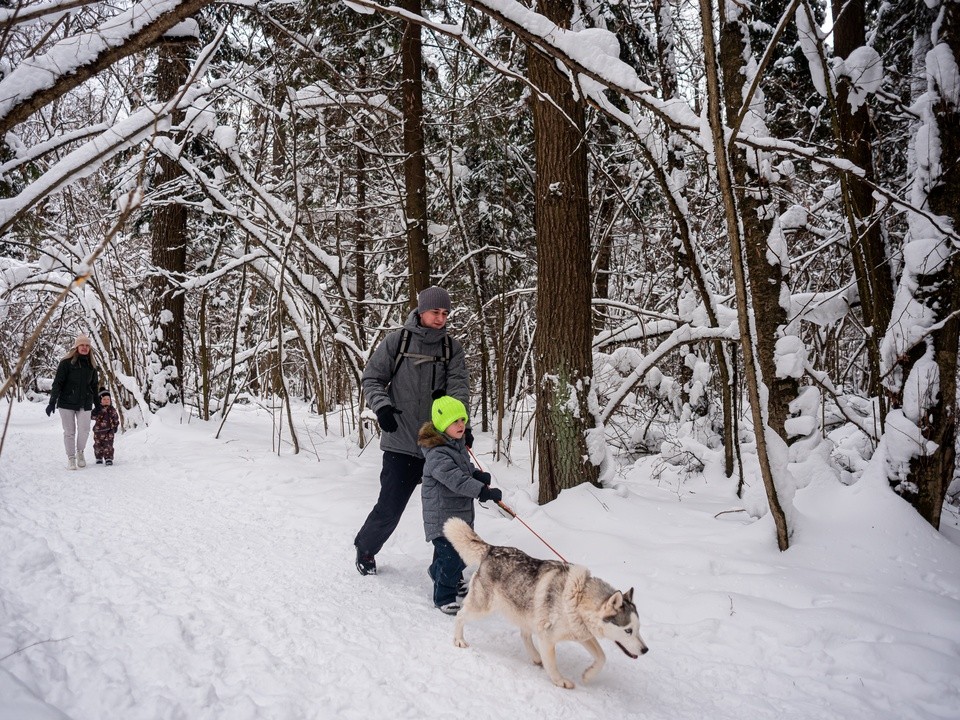 За неправильный выгул питомцев могут оштрафовать на сумму до ₽30 тыс.