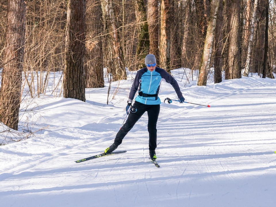 Лыжи для детей и взрослых: как не ошибиться при покупке экипировки