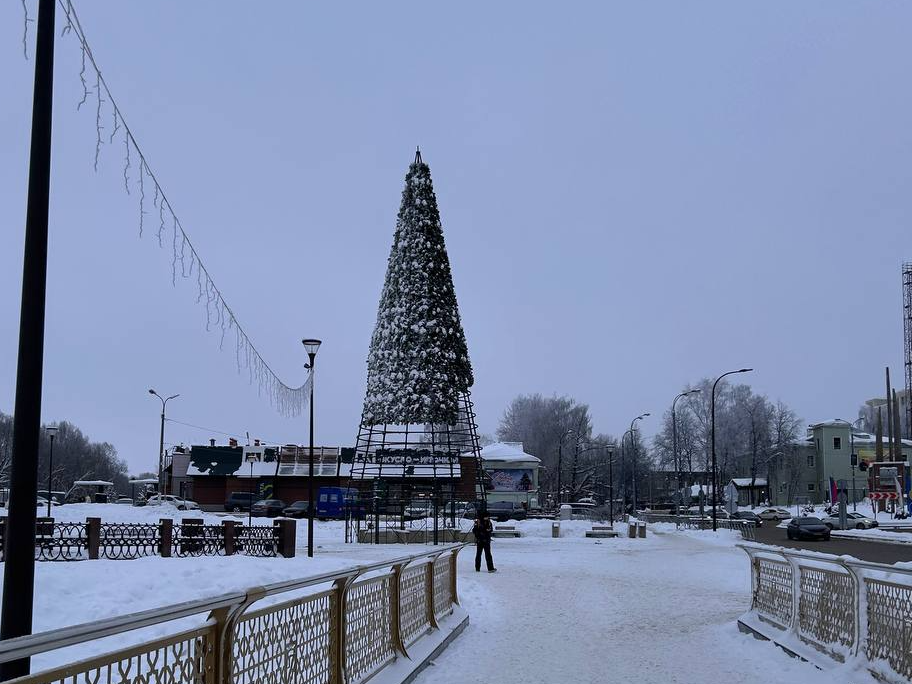 В Наро-Фоминске демонтировали главную елку