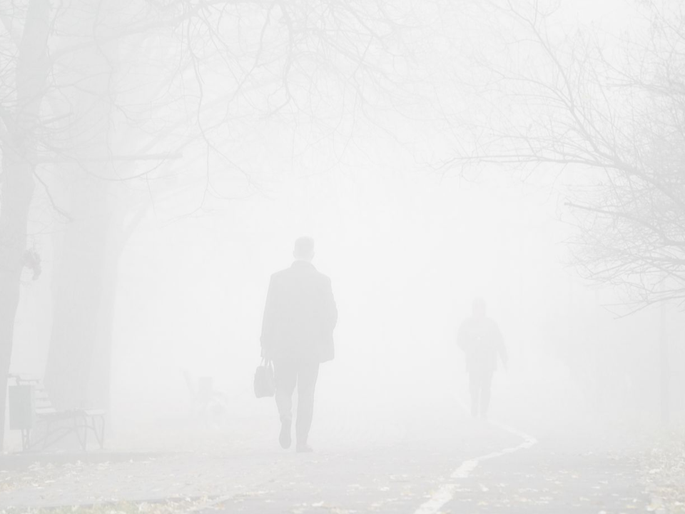 Густой туман с изморозью накроет Подмосковье в ближайшие часы