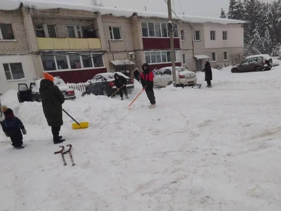 Снегопад проверил на прочность: как жители Подмосковья объединились против стихии