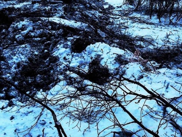 Мусорный скандал в Подольске: как компания по недвижимости превратилась в «короля свалок»