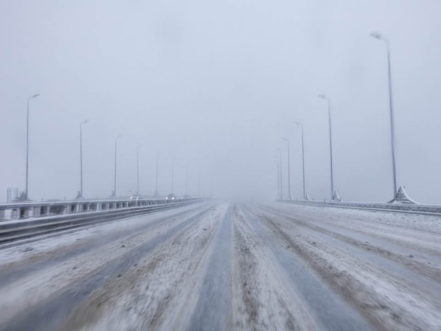 Опасная погода в Московской области: МЧС выпустило предупреждение