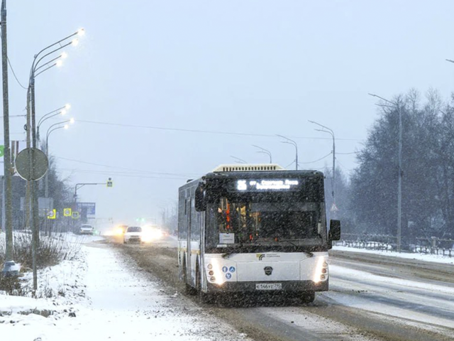 Автобусы до купелей Зарайска в крещенскую ночь будут ходить до трех часов