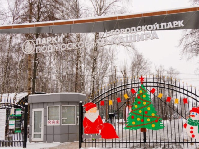 Каширский городской парк установил новый рекорд посещаемости