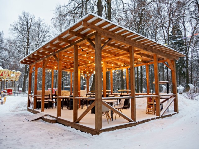 Афиша на 25 января в Сергиевом Посаде: парки, музеи, концерты и мастер-классы