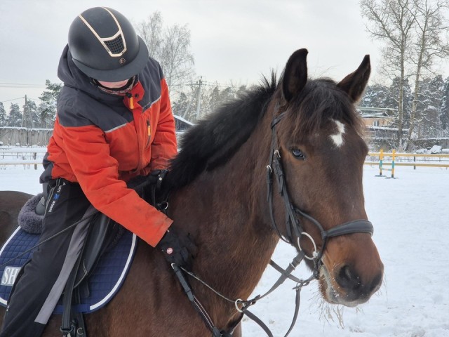 В Орехово-Зуевском округе проводят новогодние праздники с главным символом 2026 года