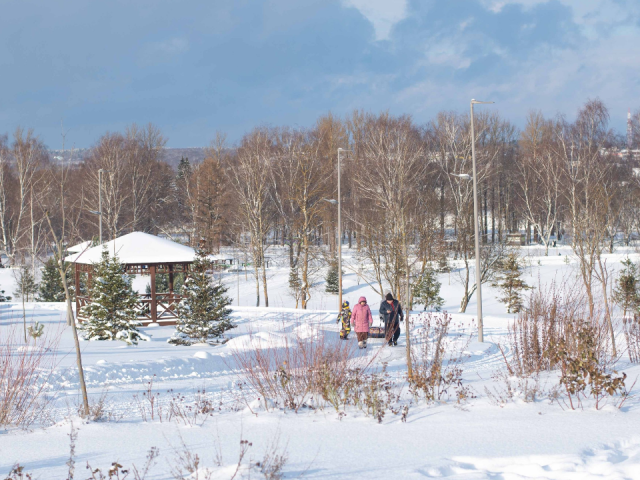 Лыжный марафон «Освобождение-2026», эстафеты: что еще посетить в Можайске 24 января
