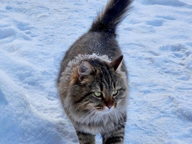 В Подмосковье скоро потеплеет, но ненадолго