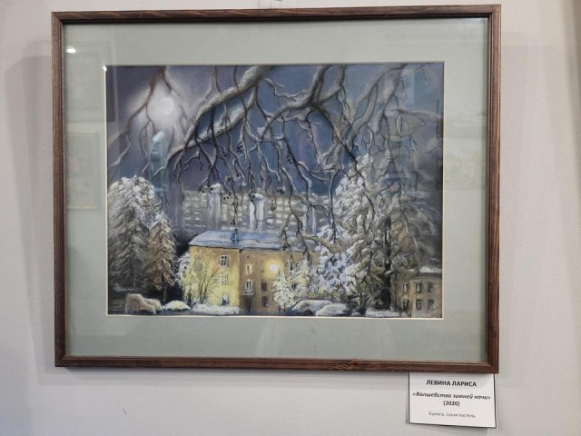 Вернуть ощущение праздника: необычная выставка в жилом доме стала настоящим подарком мытищинцам