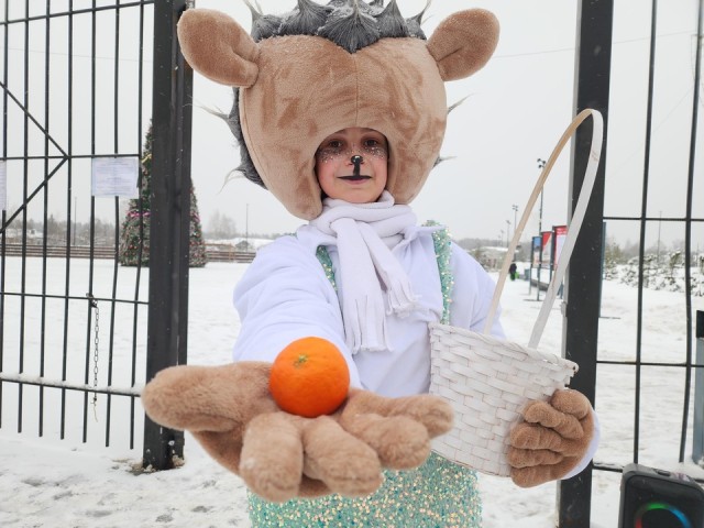 Песнями и мандаринами встречали посетителей парка «Дулевский» в Рождество