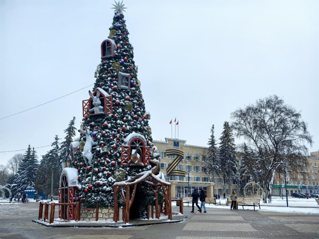Фотосессии под елками: жители Щелково выбирают маршруты по лучшим локациям