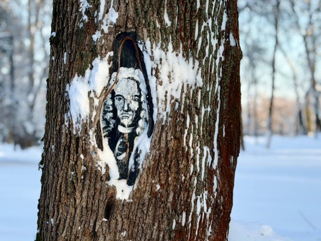 От Якова Брюса до Чебурашки: в парке Лосино-Петровского лечат деревья с помощью портретов